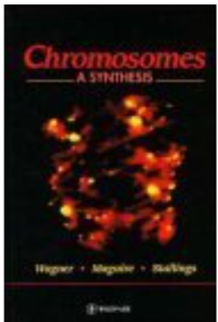 Image of Chromosomes (synthesis)